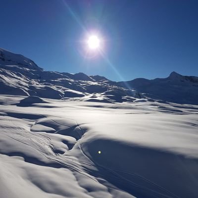 EA_TWT's profile picture. life is fun, you just need to know where to find the good memes