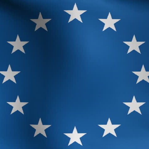 Die Europäische Akademie -
The European Academy -
L'Académie Européenne