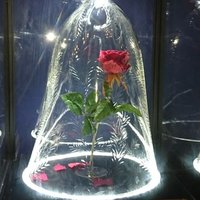 りり (@7ma11re0) 's Twitter Profile Photo りり (@7ma11re0) 's Twitter Profile Photo