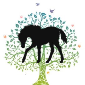 ICANTERFarm's profile picture. Providing a setting where individuals with and without barriers can experience the farm for Therapy & Rehabilitation; Education & Training; Recreation & Leisure