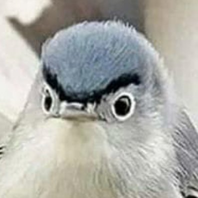 _FPMD_'s profile picture. We have removed #1 threat. More work to do. See my pinned tweet