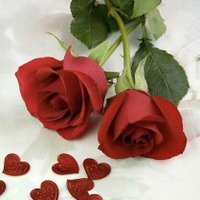 ...... (@wfdr33) 's Twitter Profile