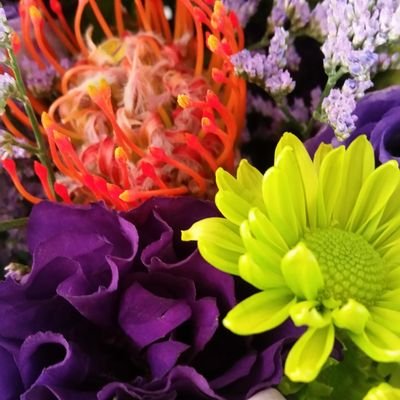 fevertree33's profile picture. 