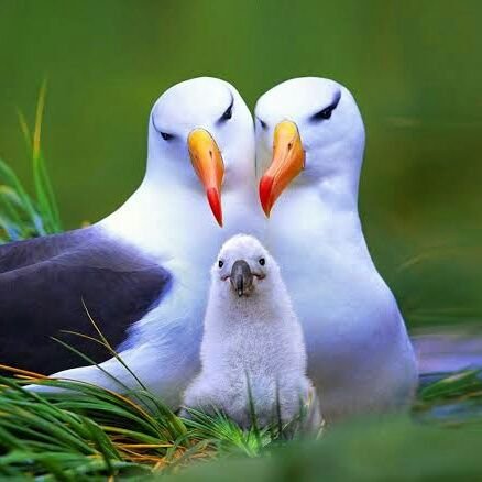 AnujAy300's profile picture. 