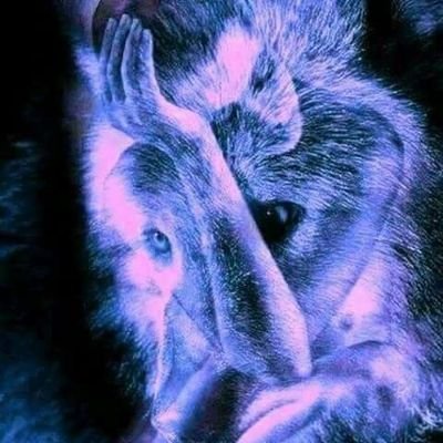 Любая ошибка в прошлом простительна, если в настоящем вы делаете всё, чтобы её не повторять.