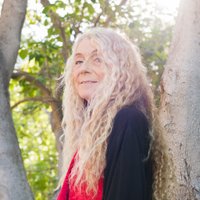 Donna Spruijt-Metz(@DSMPoet) 's Twitter Profile Photo