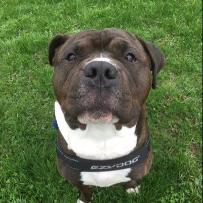 chorley_peter's profile picture. 