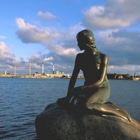 Peter Hansen (@peterha15724690) 's Twitter Profile