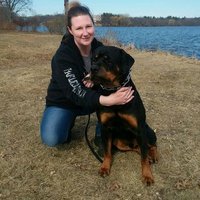 Andrea Dannewitz New England Canine Peabody MA(@CanineAndrea) 's Twitter Profile Photo
