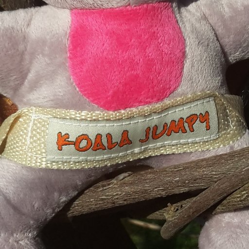 My Autobiography Forrest Giamp https://t.co/orLiVBlJk4; Koala Jumpy ...The P.W. Mascotte ...da un idea di Stefano C. che un giorno pensando al suo animatore preferito...