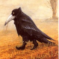 fogdrip (@cantgoback69) 's Twitter Profile