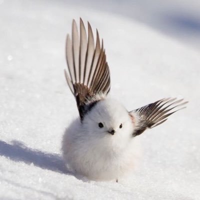 kazukiyamap's profile picture. 千葉県民の日がいつだか覚えてない和歌山県民