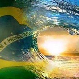 BethCCosta1's profile picture. Independent journalist - Brazil