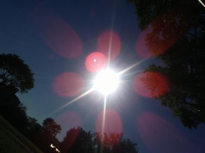 BolzanNanda's profile picture. Dejar fluir