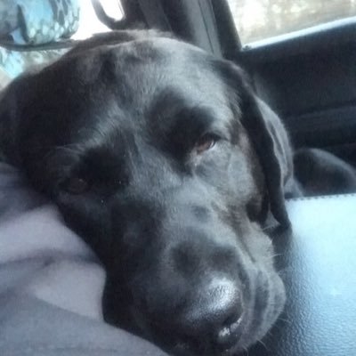 kennyt10's profile picture. 