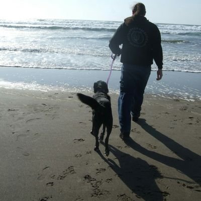 BrentanimoBay's profile picture. 