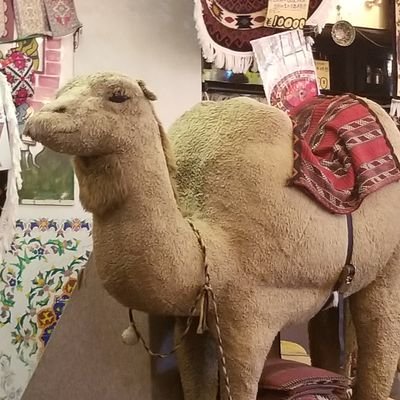 aq4ZGbSJD3gSxUV's profile picture. クイズしよう✌️
lockout#110優勝　
グランドスラム所属　漢検準一級、英検2級、個人情報保護士、大型自動車免許所得 少林寺拳法黒帯