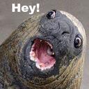 Eileen Kelley - @Eileen_Kelley - Twitter