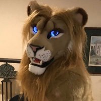 Kiba ➡️ meow meow (@kibaskunk) 's Twitter Profile