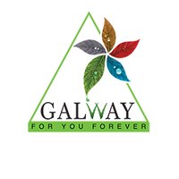 Galway Official(@galway2003) 's Twitter Profile Photo