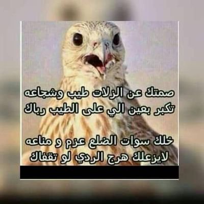 اصلي زول من قمتا طيب اسألو العرفوني فيكم
=سوداني/30/150/72