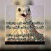 قلعة المويلح (@mkjerhdairykne1) Twitter profile photo قلعة المويلح (@mkjerhdairykne1) Twitter profile photo