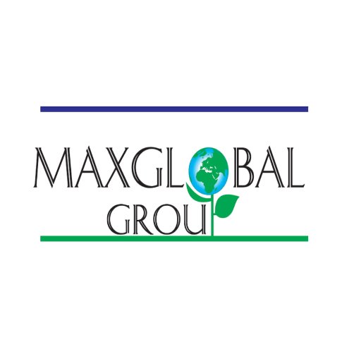 MAXGLOBAL GROUP LTD Profile