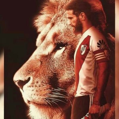 gust_carp's profile picture. Si siempre me va a golpear, terco y torpe seré hasta el final... ♑