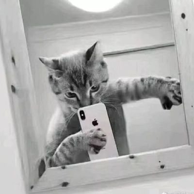 dazhuang456's profile picture. 