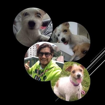 RobertEsquivel1's profile picture. 