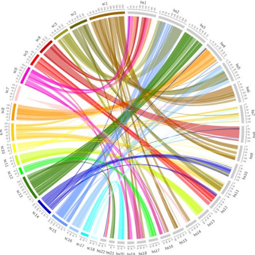 Ehud Karavani Profile