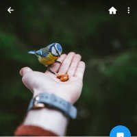 nrsel💙 (@nrs_83) 's Twitter Profile