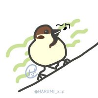 Sakurai (@yutorihan) 's Twitter Profile