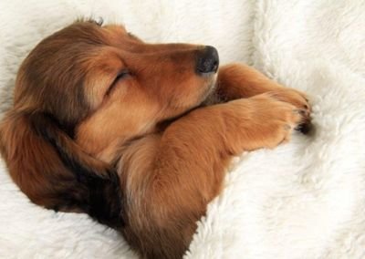 nwFTKr8gVw1SHwc's profile picture. とりあえず