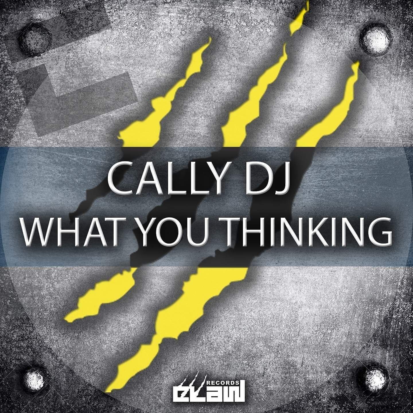 Cally dj dj e produttore dal Friuli