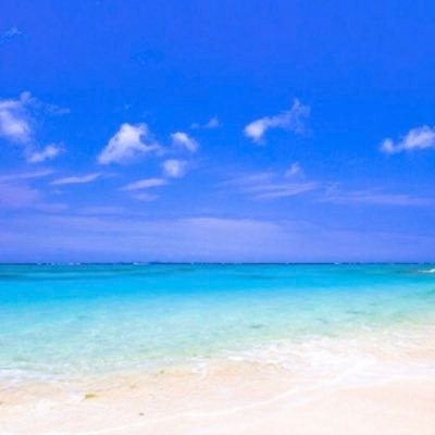 tomiyu539's profile picture. 寒いの苦手です。 コツコツと少しずつ。 無駄をなくしていこうと断捨離。少し小遣い増えたかな。