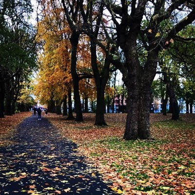 HaifaSr's profile picture. BSc. CS, UoT 2013. MSc. SE, UoM 2015. AI\TM\NLP PhD, UoM 2024, always work with passion & determination. On my way 2 achieve greatness🙌🏻