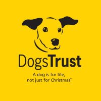 DogsTrust Darlington(@DT_Darlington) 's Twitter Profileg