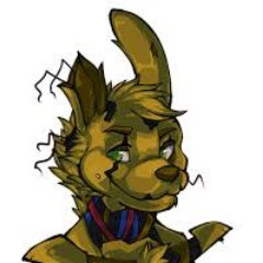 Springjoy3's profile picture. 