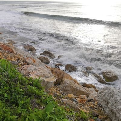 PedroOtiar's profile picture. Ingeniero de Puertos y Costas