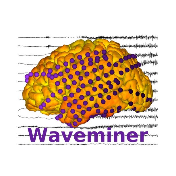 Clinical data science software developers. We use interactive visualizations and AI to help physicians analyze data from epilepsy surgery candidates.