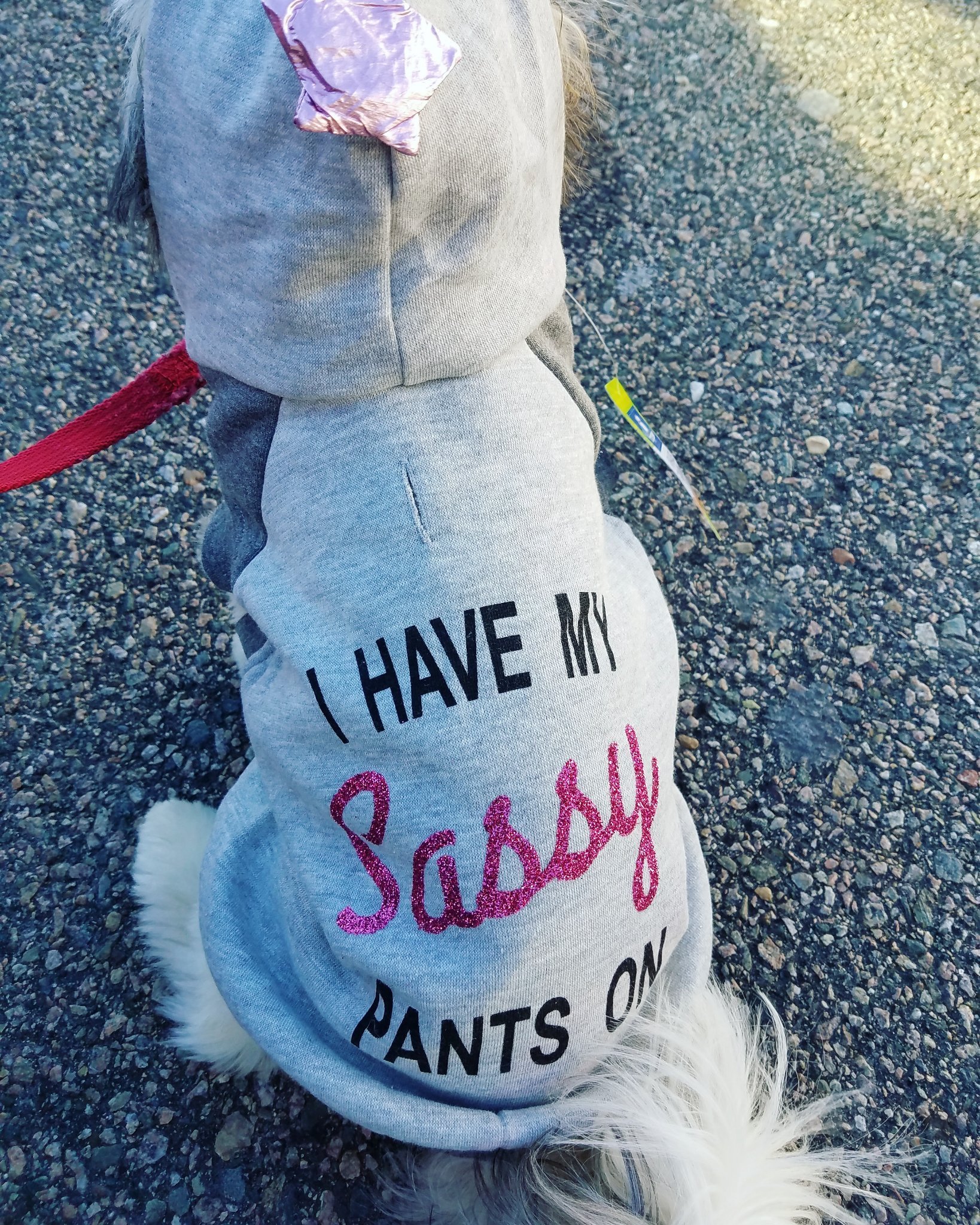 savvymegs's profile picture. Social worker, believer and receiver of Grace, xennial (geriatric millennial?).  Interested in faith, mental health, #tbi and how others think. She/her/hers