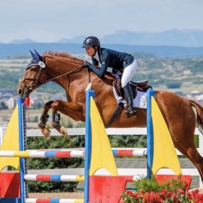 westendfarmkc's profile picture. A private equestrian facility in Kansas City, Kansas specializing in sales and leases of high end hunters, jumpers, and eventers.