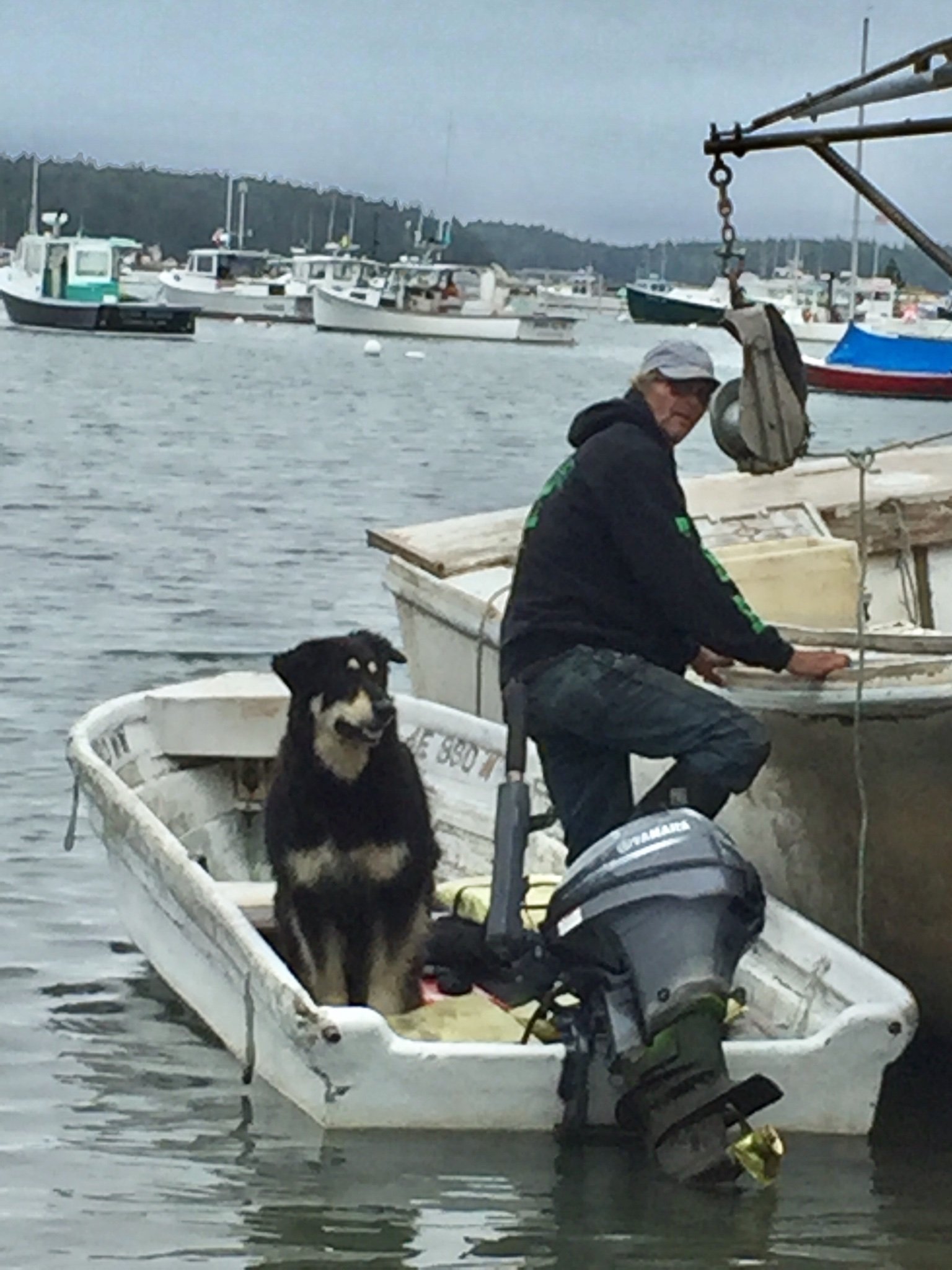 Islanderdis3's profile picture. Mother of 2, grandma, in a relationship. We are a lobstering family. Would like to keep this site a positive thing for Family and Friends. New and old.