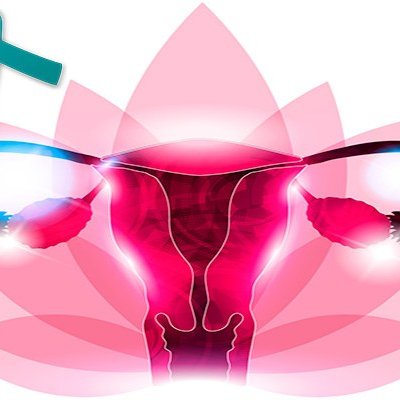 Esta página fue creada con la finalidad de hacer una campaña de salud sobre el Cáncer Cervicouterino, 🎀