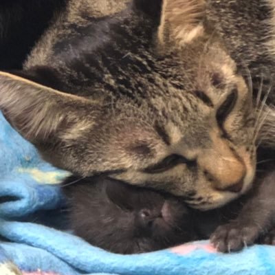 ma_aibm's profile picture. 