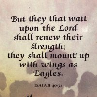 Betty Phelps (@bettywbc) 's Twitter Profile Photo Betty Phelps (@bettywbc) 's Twitter Profile Photo