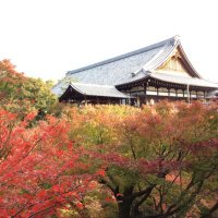 Japan 47Trip - 47都道府県制覇の旅 (@japan47trip) Twitter profile photo
