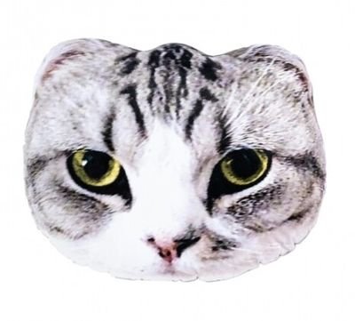 PillowMeredith Profile Picture