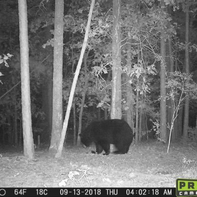 PHousdan's profile picture. Pastor, police dispatcher, husband, dad, poppa, hunter, outdoorsman, writer, but Jesus is King & Lord!